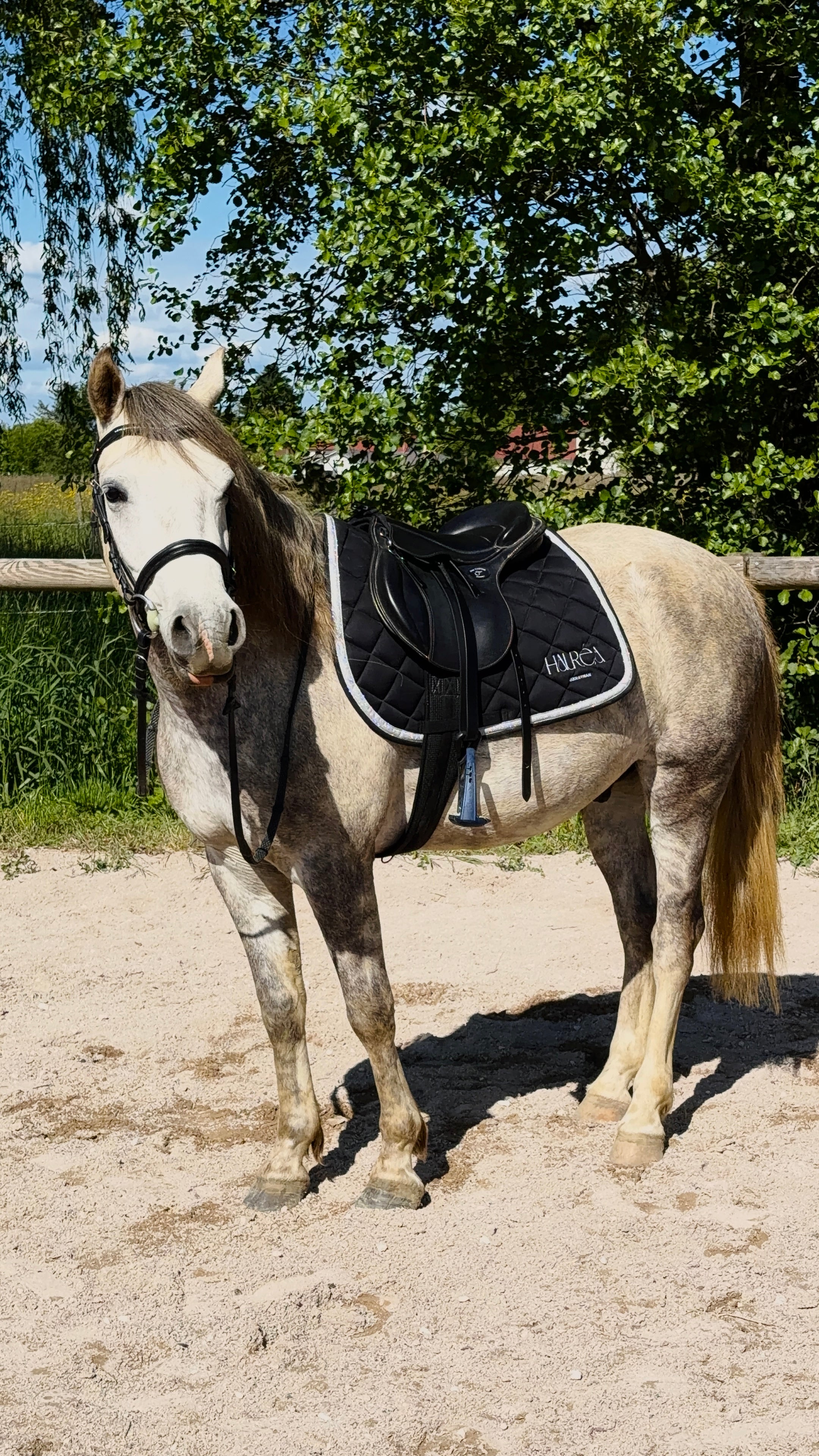 Tapis Opium noir